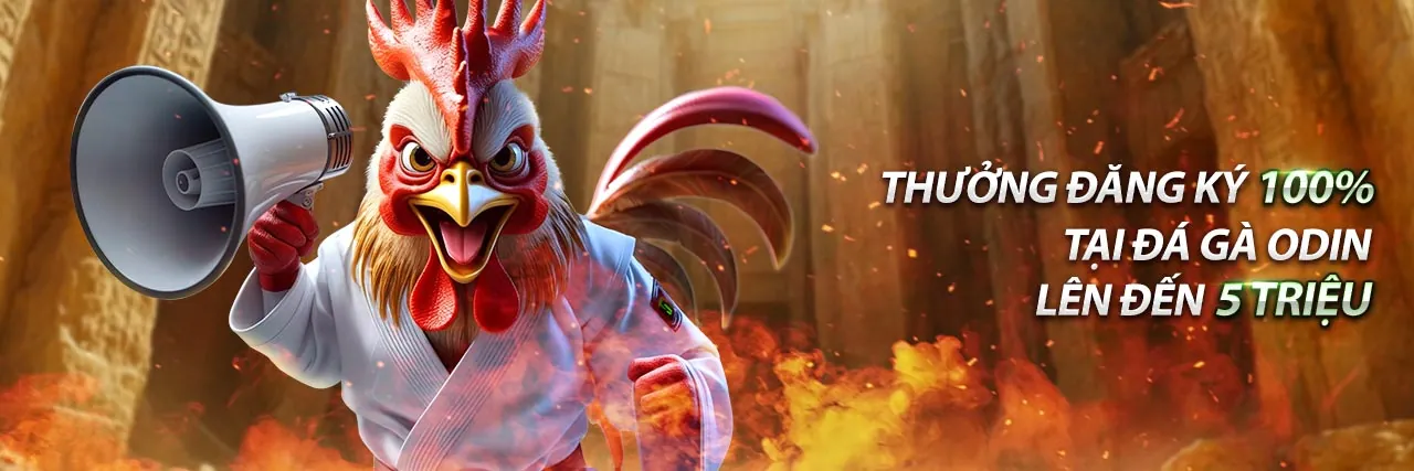 Hình ảnh minh họa chính sách bảo mật và bảo vệ dữ liệu người dùng trên b52 code